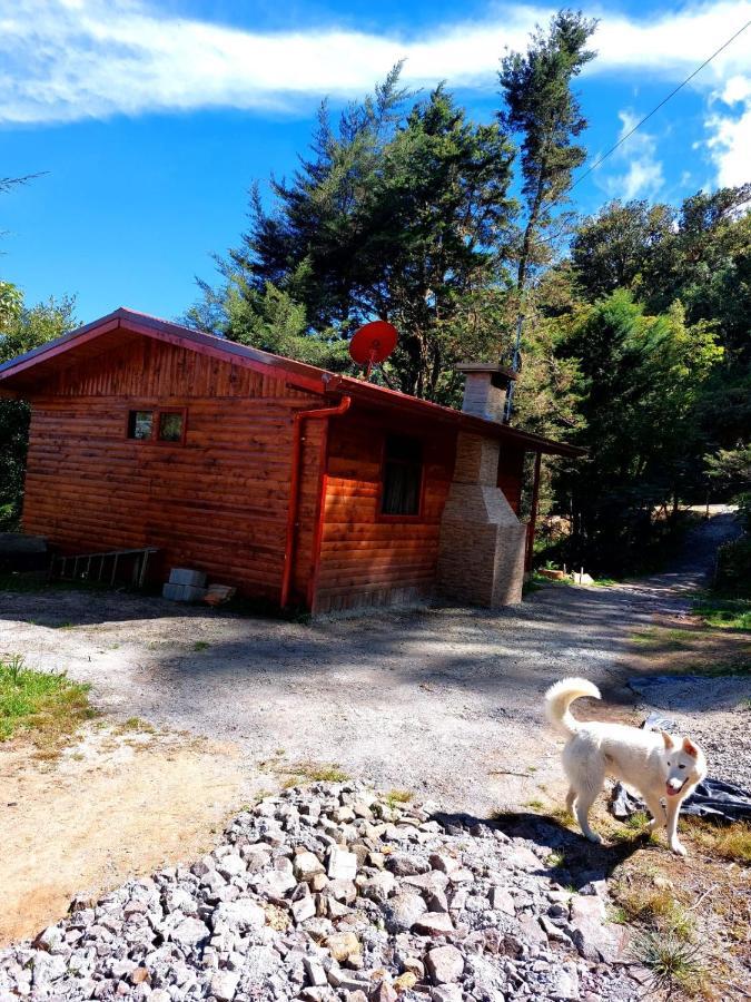 Las Bromelias Lodge Paso Macho Экстерьер фото